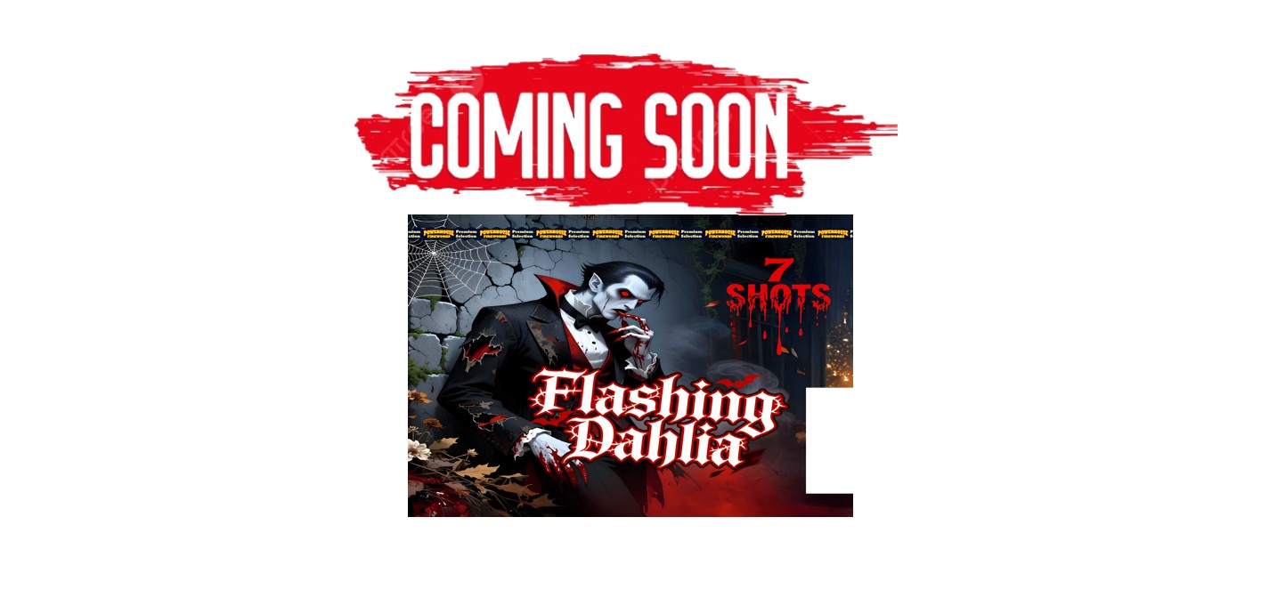FLASHING DAHLIA - Image 2